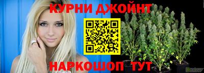 a pvp Гусев