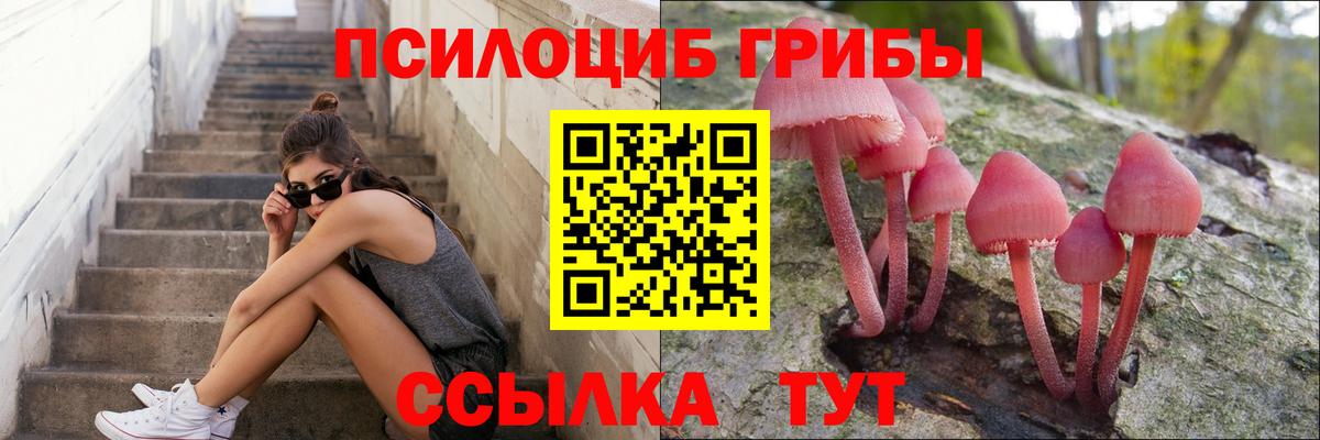 Галлюциногенные грибы GOLDEN TEACHER Малоярославец