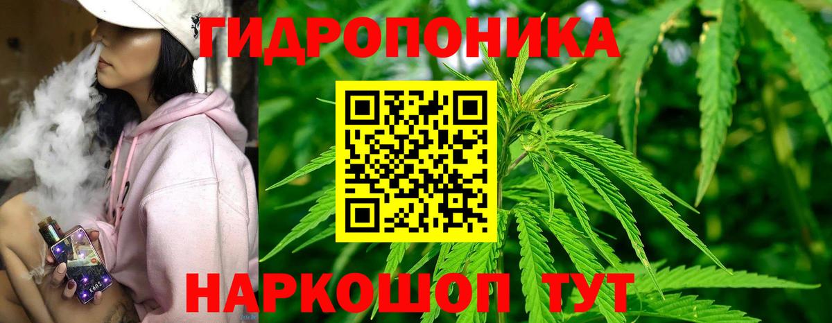 Марихуана OG Kush Малоярославец
